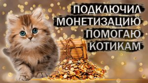 Подключил монетизацию на Рутубе - помогаю котикам