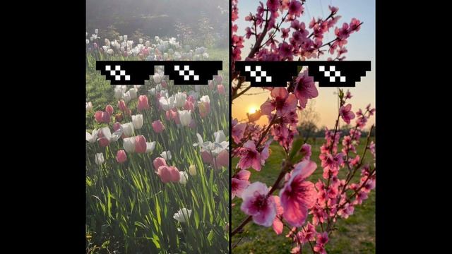 незнаю как у вас но у нас лето...💐🌿🌾