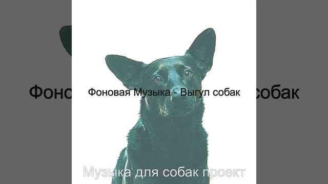 Созерцая (Собаки Щенки) смотреть онлайн