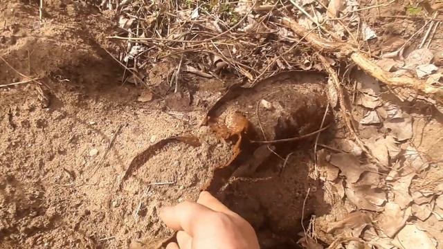 НАШЕЛ 2 МАШИНЫ ПОД ЗЕМЛЕЙ КОП С  MD4030