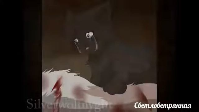 Коты воители Ласточка и Снегоухий смотреть онлайн