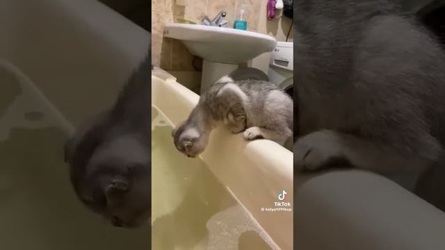 Видео не моё @Мерседес Александрова смотреть онлайн