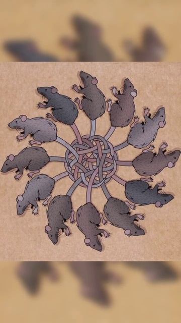 How Does A Rat King Happen #shorts смотреть онлайн