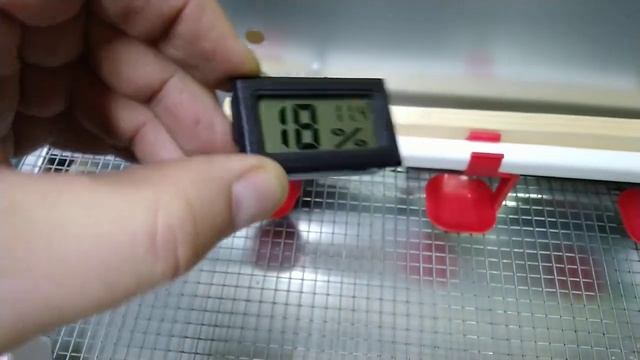 Обзор/Купить гигрометр термометр для брудера перепелки интернет магазин/Большой фермер смотреть онлайн