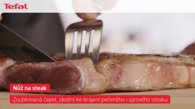 Tefal ICE FORCE 4x nerezový nůž na steak смотреть онлайн