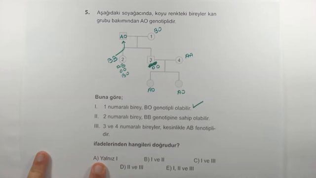 Çöz Kazan TYT Biyoloji Soru Bankası Kalıtımın Genel İlkeleri Test 12 смотреть онлайн