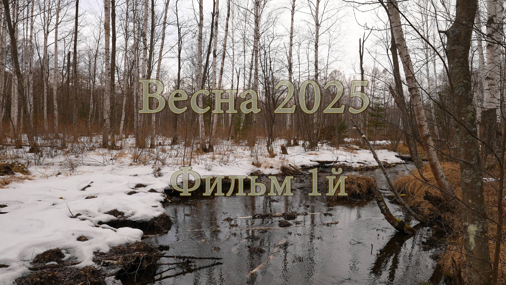 Весна 2025. Фильм 1й. смотреть онлайн