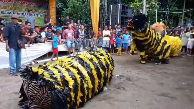 CAN MACANAN MAONG REMAJA LIVE PRINGTALI MAYANG смотреть онлайн
