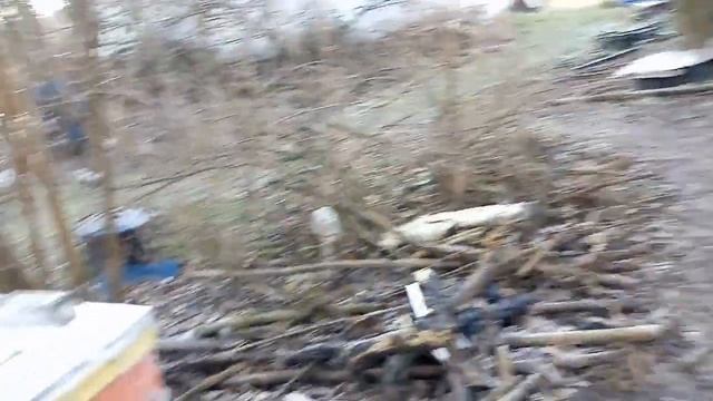 31 грудня 2022 р. Аномальне тепло: охолоджуємо гнізда смотреть онлайн