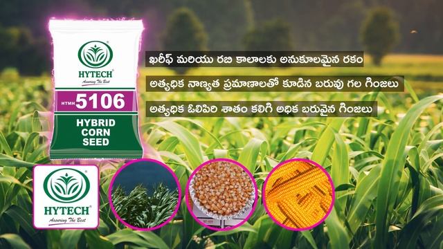 HYTECH MAIZE -5106🌽🌽🌽🌽 смотреть онлайн