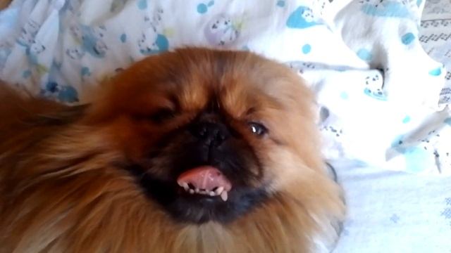 У нас сегодня настоящая весна🌞 смотреть онлайн