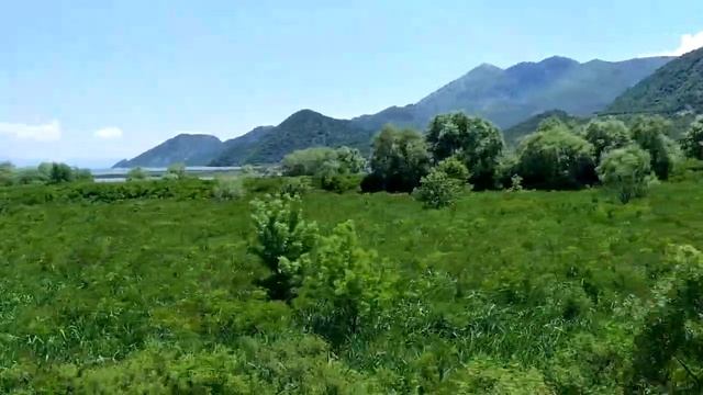 Podgorica to Bar, Montenegro Scenic Train Ride смотреть онлайн