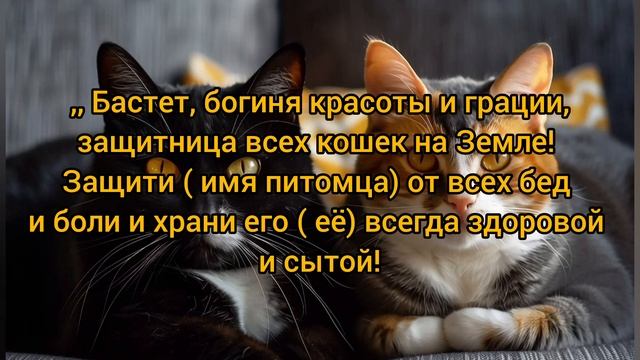 Заговоры для домашних животных,обережный и для быстрого выздоровления, от болезней. смотреть онлайн