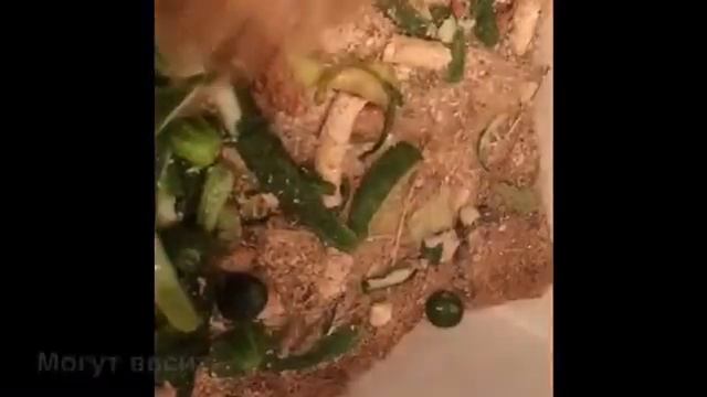 Моя морская свинка (маленький рассказик)