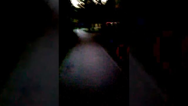 Нашли котёнка но потеряли друзей смотреть онлайн