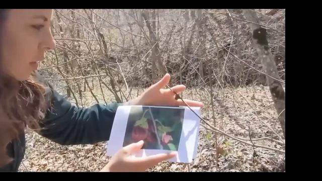 NPN on Road April 2022 смотреть онлайн