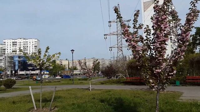 Киев смотреть онлайн