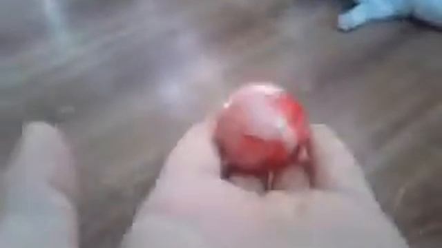 О игрушках для кошек