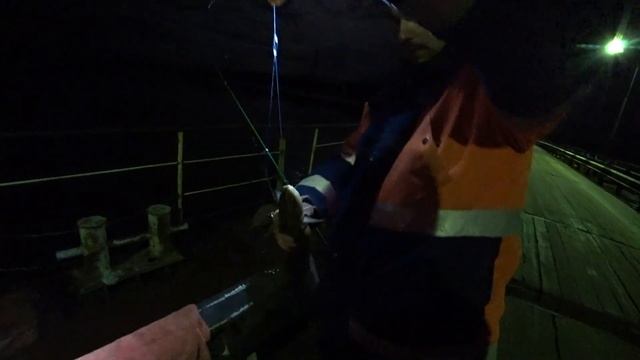 МЫ В ШОКЕ!ТАКИХ НАЛИМОВ МЫ ЕЩЕ НЕ ЛОВИЛИ! смотреть онлайн