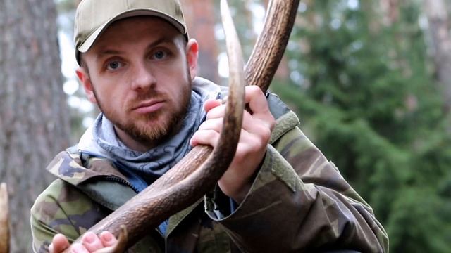 Рог оленя, поиск рогов 2024, zrzuty 2024 смотреть онлайн