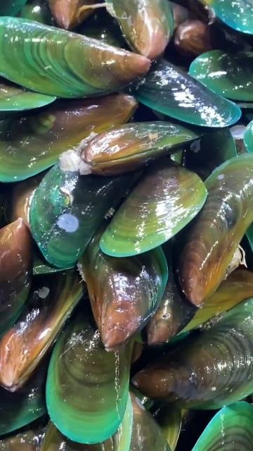 # fresh mussle# a healthy seafoods and a good source of iodine,vitamins& minerals#shortvideofacts смотреть онлайн