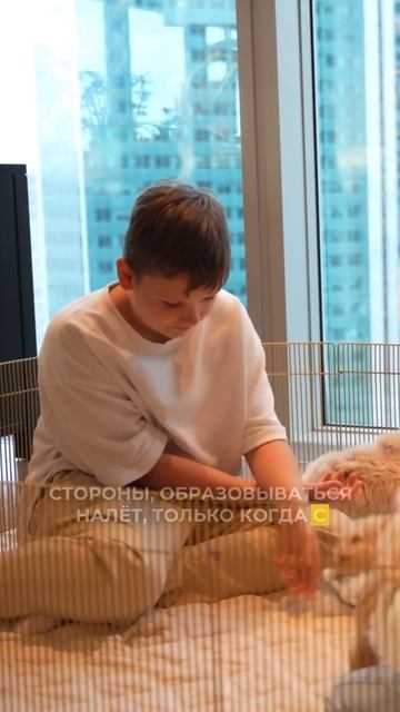 Зубной камень у собак. Как чистить зубы собаке. смотреть онлайн