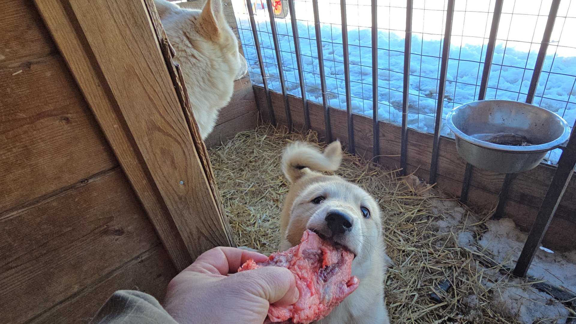 Весенний лаечный перекус