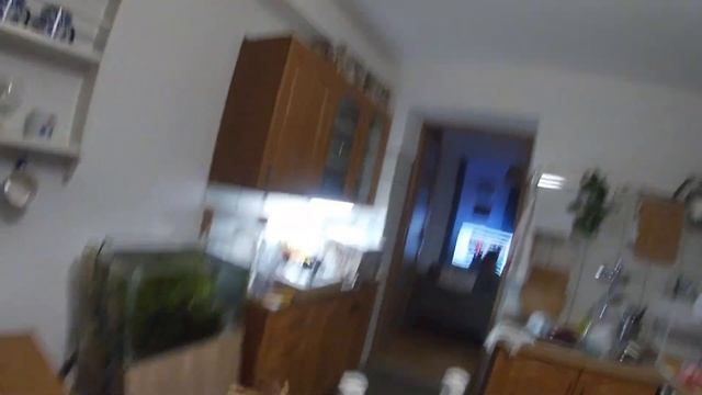 79. Korzenie do Aquascapingu | GoPro Hero | Red Moor Wood | 1 z 4 смотреть онлайн