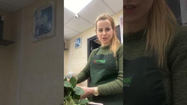 МИСТИКА АРКАН СОЛНЦЕ XIX 1часть