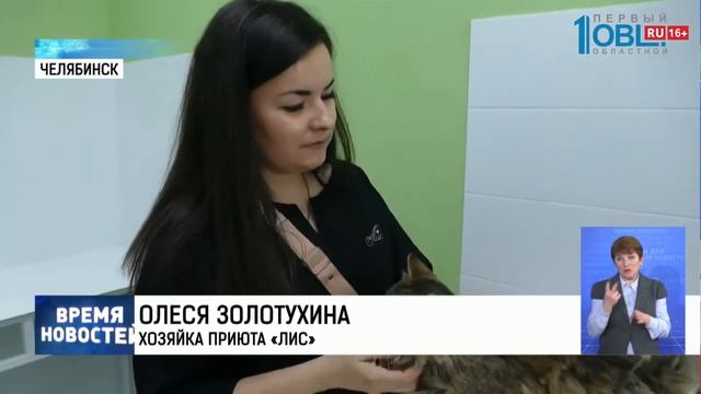 Владимир Бурматов помог открыть клинику ветеринару смотреть онлайн