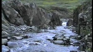 Поморы, поход на Канин на доре 1998 г. Поморский промысел, красоты Канина.