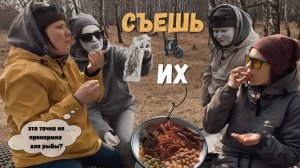 Что ЭТО было? Электровелосипед и странная еда из Азии — лес, улицы и немного дзена