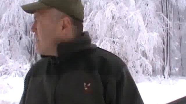 RTV Vranje Povratak prirodi Vranjski vuk 2015 insert смотреть онлайн