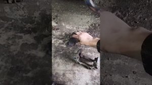 Замена колодок Калина 1 быстро и легко