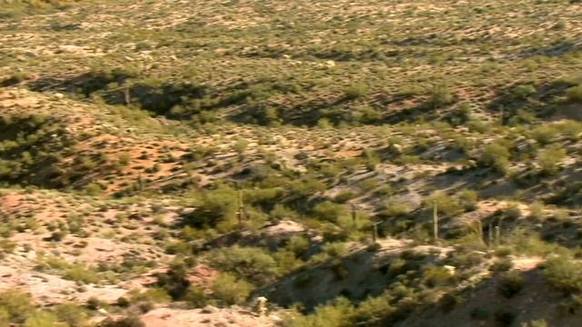 Coyote Hunting: Season 4 Episode 1 смотреть онлайн