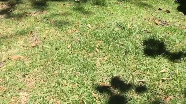 Самая колоритная страна. Южная Америка. Влог. смотреть онлайн