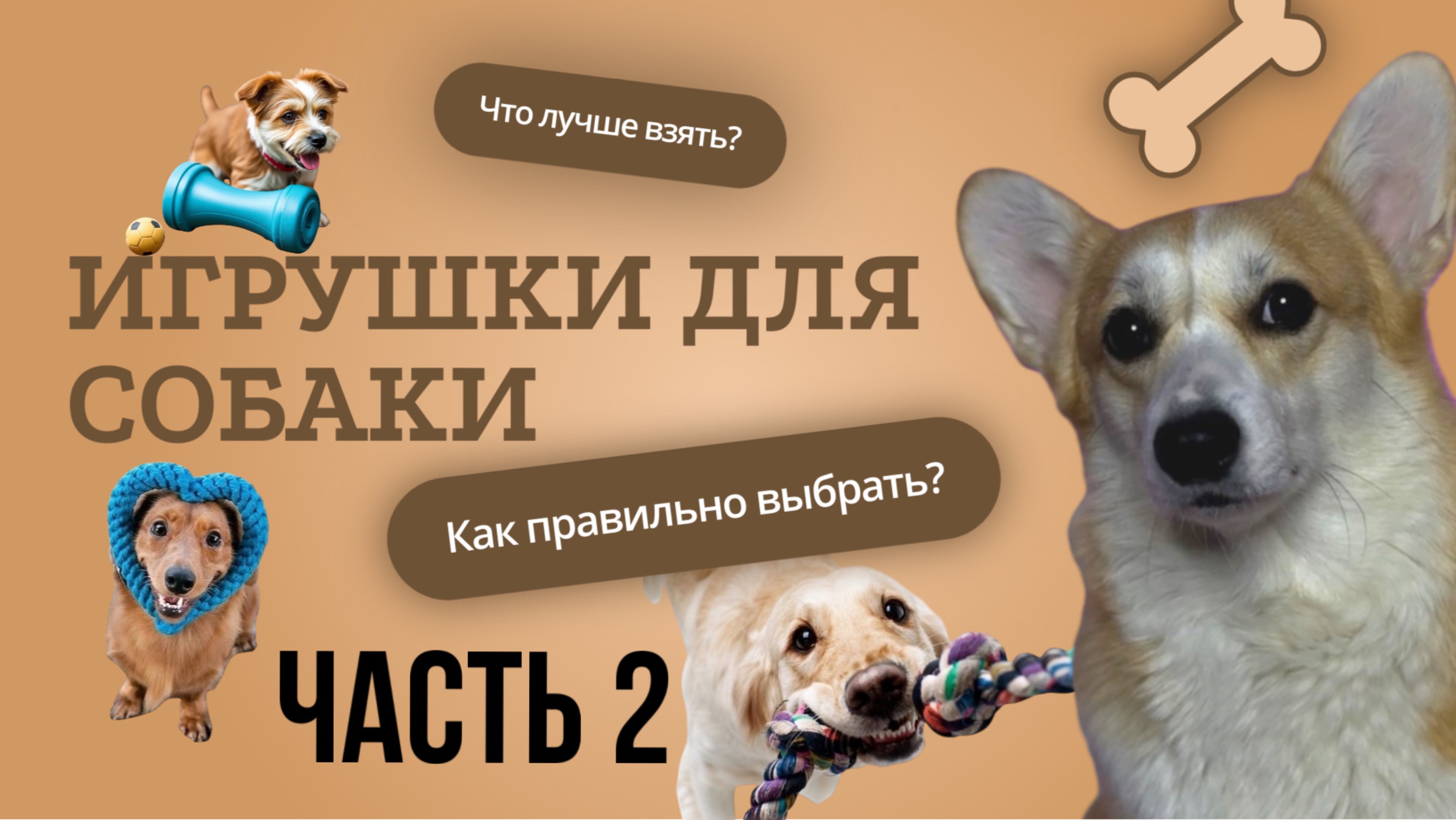 Игрушки для собаки. Часть 2.