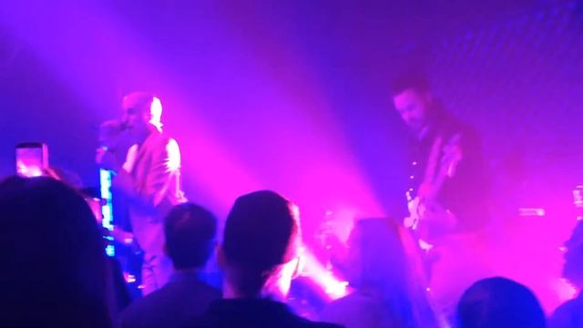 Neon Trees. Animal. The Triple Rock Social Club, Minneapolis. смотреть онлайн
