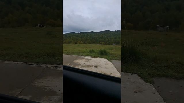 аргал смотреть онлайн