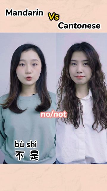 Mandarin VS Cantonese 02 смотреть онлайн