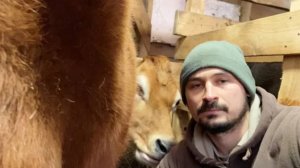 Жена заболела. Руки совсем опустились. Ремонт в доме продолжается. Жизнь простых людей в деревне.