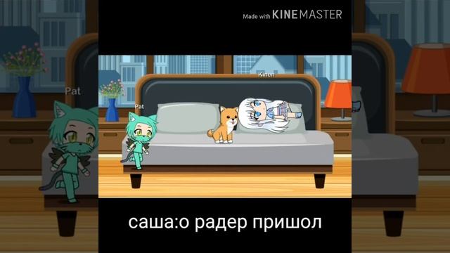 Приключения мальчика саши и его собаки/и покачу который стырил печеньки гыгы)