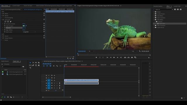 How To Isolate A Specific Color In Premiere Pro 2022 смотреть онлайн