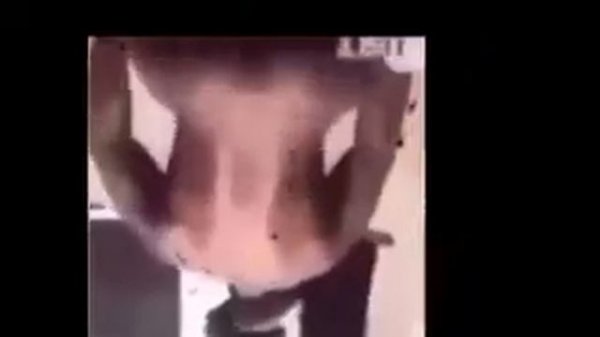 cock and ball torture