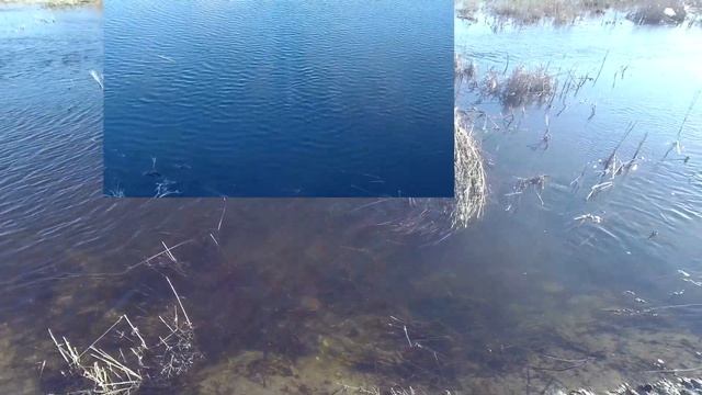Река Кумшак. 24. 2. 24. смотреть онлайн
