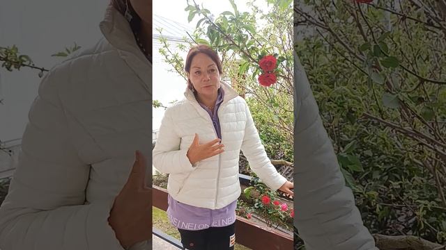 о Рейки 3 ступени смотреть онлайн