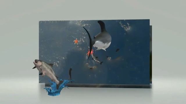 shark 2 3D paint смотреть онлайн