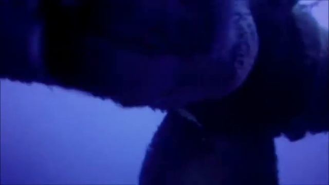 Moray Attack смотреть онлайн