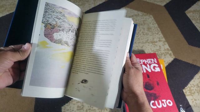 Unboxing "Biblioteca de Stephen King" (Cujo, A hora do lobisomem e Incendiária) смотреть онлайн