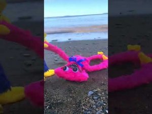 HUGGY WUGGY AND KISSY MISSY ON THE SEA BEACH #Shorts